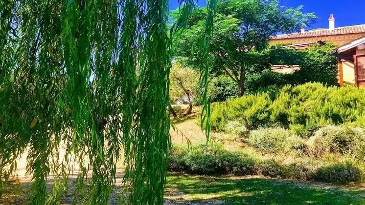 Villa, Birden Çok Yatak Odası, Veranda