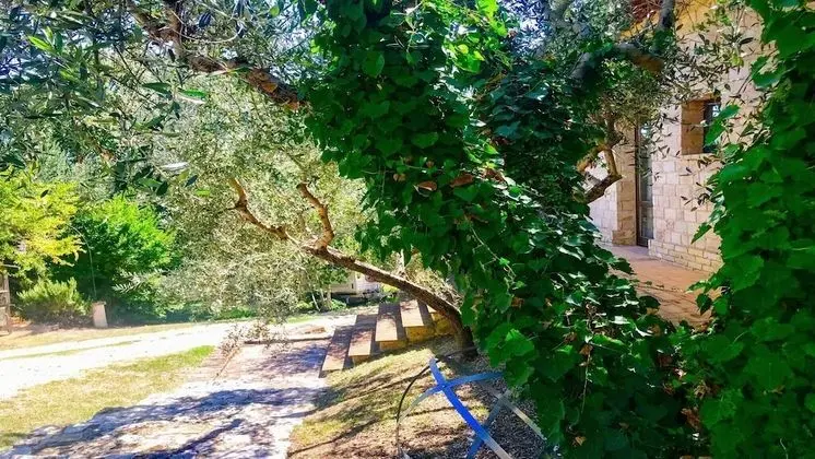 Villa, Birden Çok Yatak Odası, Veranda