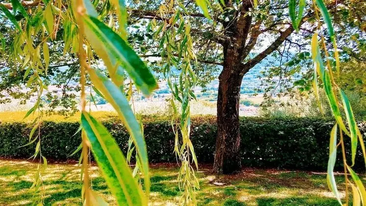 Villa, Birden Çok Yatak Odası, Veranda