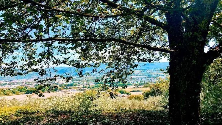 Villa, Birden Çok Yatak Odası, Veranda