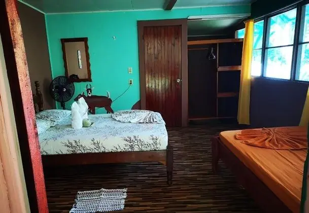 Standard Oda, Bahçe Manzaralı