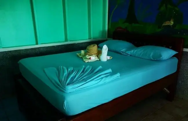 Standard Oda, Bahçe Manzaralı