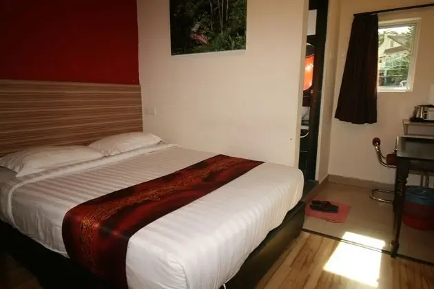 Deluxe Oda, 1 En Büyük (King) Boy Yatak