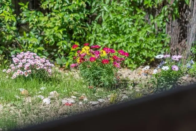 Ev, 2 Yatak Odası, Sigara İçilebilir, Veranda