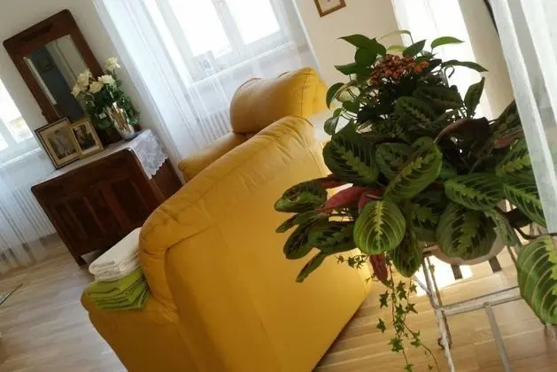 Deluxe Oda, Ortak Banyo