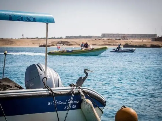 Deluxe Stüdyo, Kanal Manzaralı