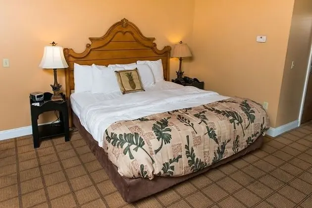 Standard Oda, 1 En Büyük (King) Boy Yatak, Sigara İçilmez