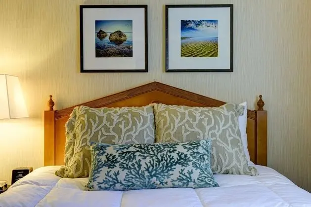 Oda, 2 Büyük (Queen) Boy Yatak, Sigara İçilmez (Efficiency)