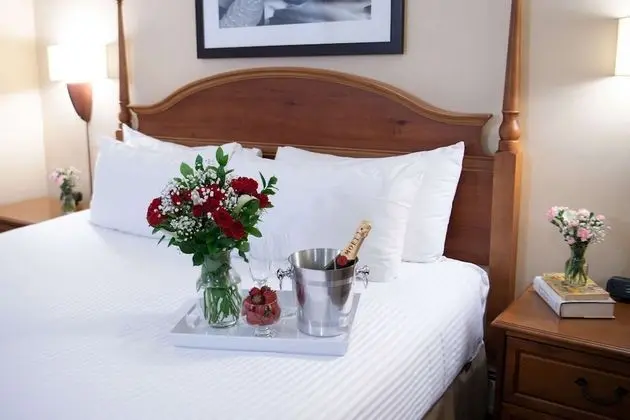 Süit, 1 En Büyük (King) Boy Yatak ve Çekyat, Sigara İçilmez