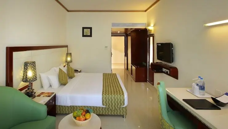 Deluxe Tek Büyük Yataklı Oda, 1 En Büyük (King) Boy Yatak, Şehir Manzaralı
