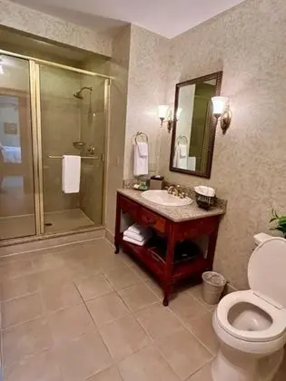 Luxury Tek Kişilik Oda, 1 En Büyük (King) Boy Yatak, Şömine, Şehir Manzaralı