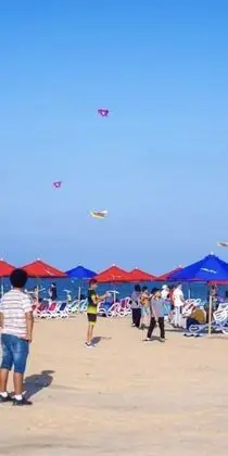 Dağ Evi, 1 Yatak Odası, Engellilere Uygun, Sigara İçilebilir