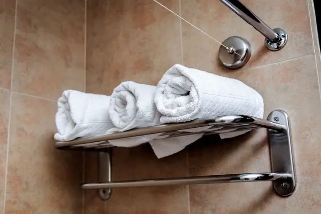 Standard Tek Büyük Yataklı Oda, 2 Çift Kişilik Yatak