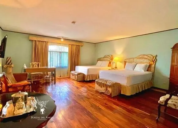 Deluxe Tek Büyük Yataklı Oda, 2 Büyük (Queen) Boy Yatak, Şehir Manzaralı