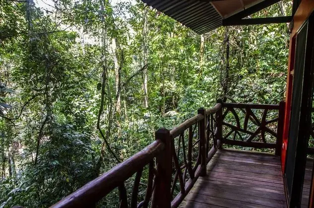 Standard Bungalov, 2 Çift Kişilik Yatak, Küçük Mutfak, Nehir Manzaralı