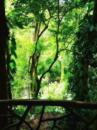 Standard Bungalov, 2 Çift Kişilik Yatak, Küçük Mutfak, Nehir Manzaralı