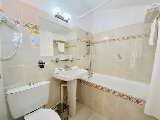 Superior Tek Büyük Yataklı Oda