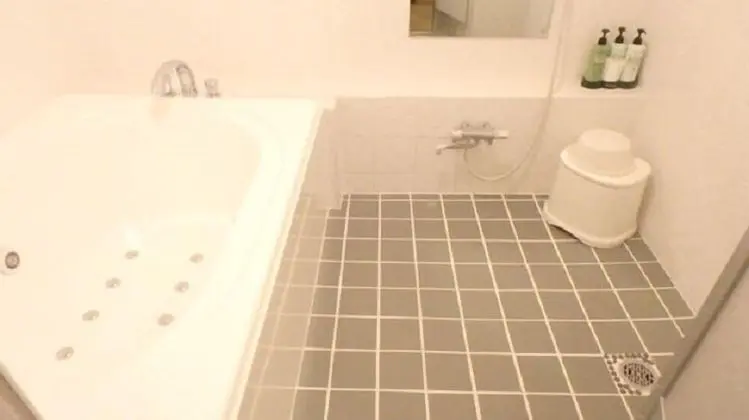 Tek Büyük Yataklı Oda, Sigara İçilebilir (Japanese Style, No Housekeeping)