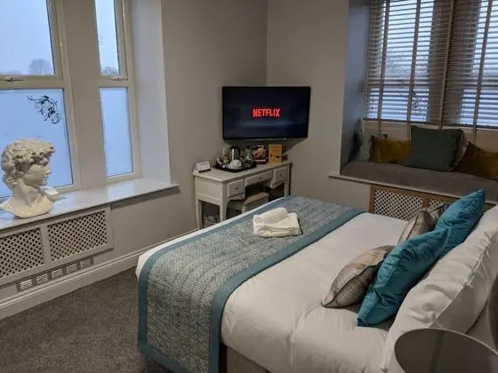 Superior Tek Büyük Yataklı Oda, 1 En Büyük (King) Boy Yatak