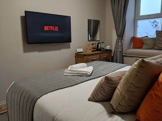 Superior Tek Büyük Yataklı Oda, 1 En Büyük (King) Boy Yatak