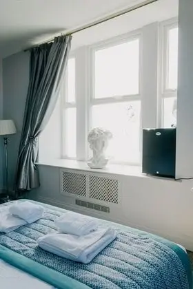 Superior Tek Büyük Yataklı Oda, 1 En Büyük (King) Boy Yatak