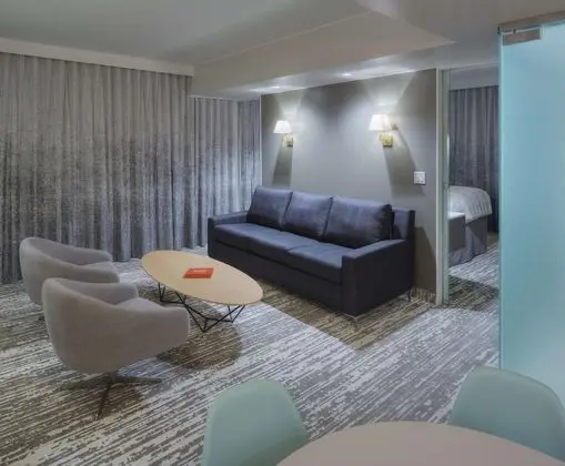 Süit, 1 En Büyük (King) Boy Yatak ve Çekyat, Engellilere Uygun, Şehir Manzaralı (with Sofabed)