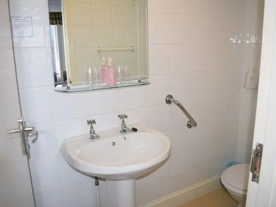 Executive Tek Büyük Yataklı Oda, Banyolu/Duşlu