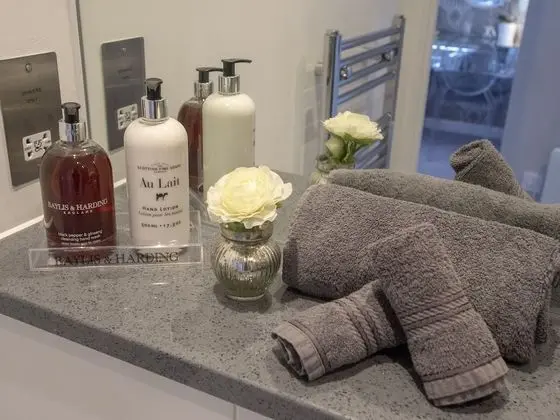 Apart Daire, Özel Banyo