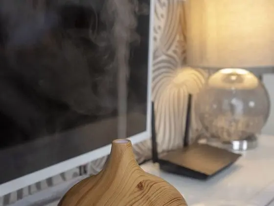 Apart Daire, Özel Banyo