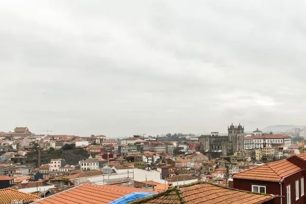 Deluxe Apart Daire, 1 Yatak Odası, Sigara İçilmez, Şehir Manzaralı (4)