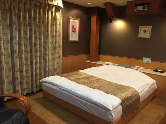 Standard Tek Büyük Yataklı Oda, Sigara İçilebilir (Love Hotel)