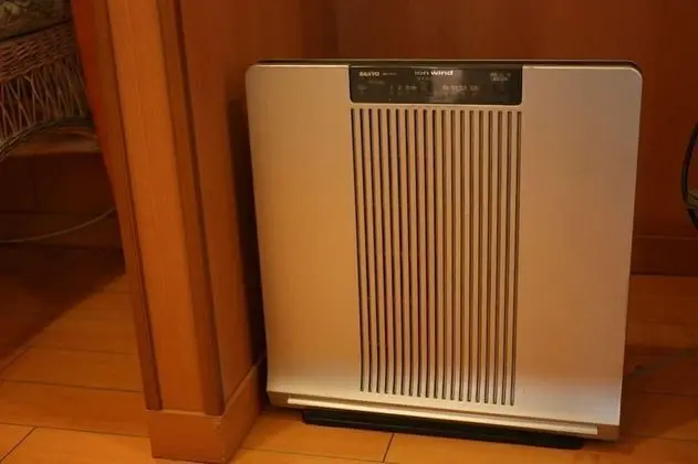 Standard Tek Büyük Yataklı Oda, Sigara İçilebilir (Love Hotel)