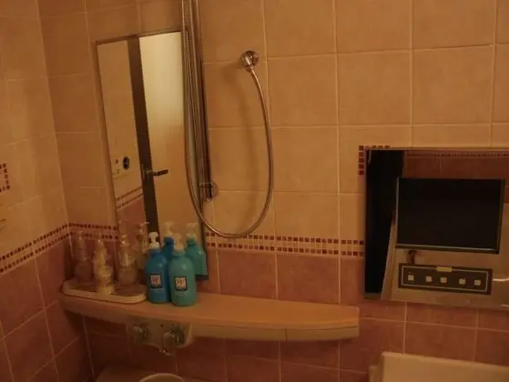 Standard Tek Büyük Yataklı Oda, Sigara İçilebilir (Love Hotel)