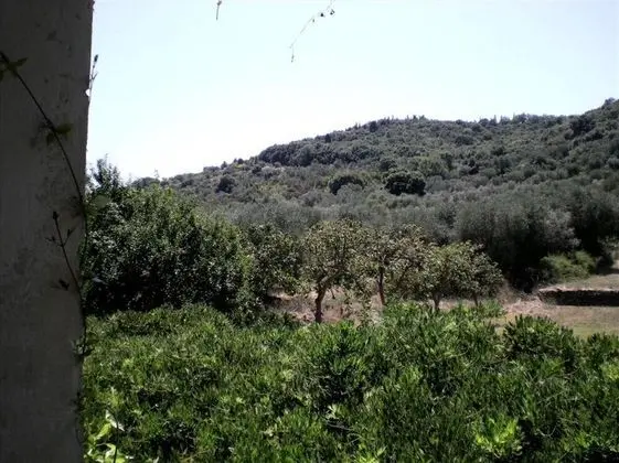 Villa, Sigara İçilebilir