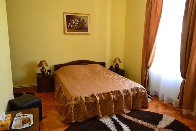 Basic Tek Büyük Yataklı Oda, Şehir Manzaralı
