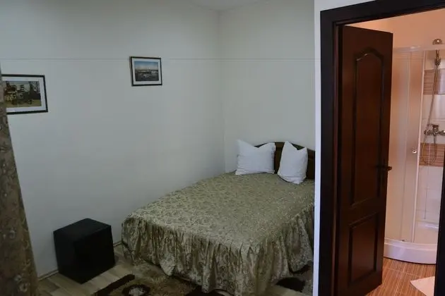 Basic Tek Büyük Yataklı Oda, Şehir Manzaralı
