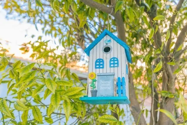 Stüdyo (Porto Island House 3)