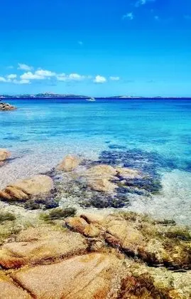 Apart Daire, 1 Yatak Odası, Balkon