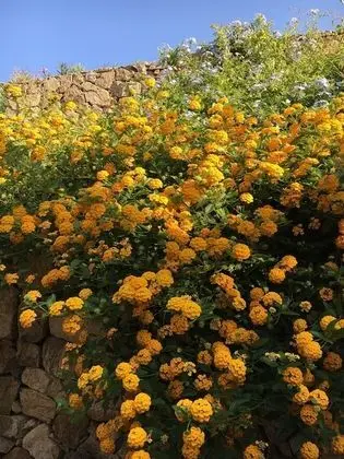 Comfort Tek Büyük veya İki Ayrı Yataklı Oda, 1 Büyük (Queen) Boy Yatak, Sigara İçilmez, Veranda