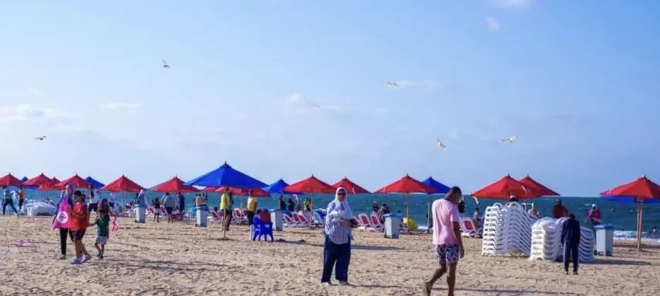 Dağ Evi, 1 Yatak Odası, Engellilere Uygun, Sigara İçilebilir