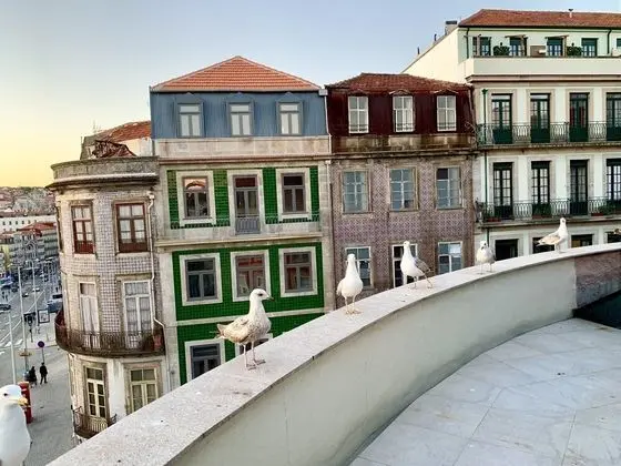 Deluxe Çatı Katı (Loft), 1 Yatak Odası, Teras, Şehir Manzaralı