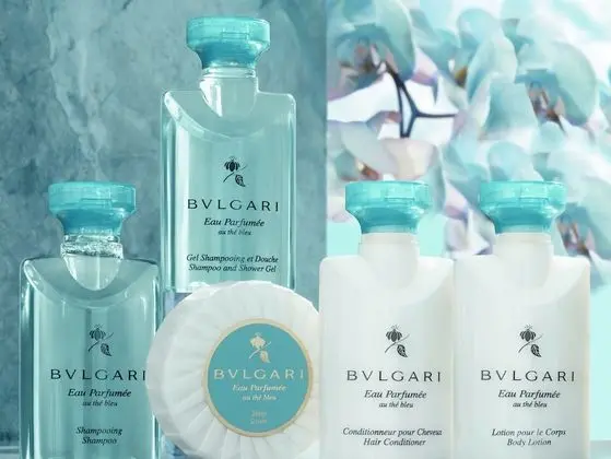 Dubleks (Suite -Palace)