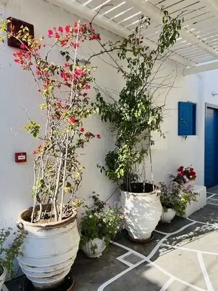 Villa, Kişiye Özel Havuzlu, Deniz Manzaralı