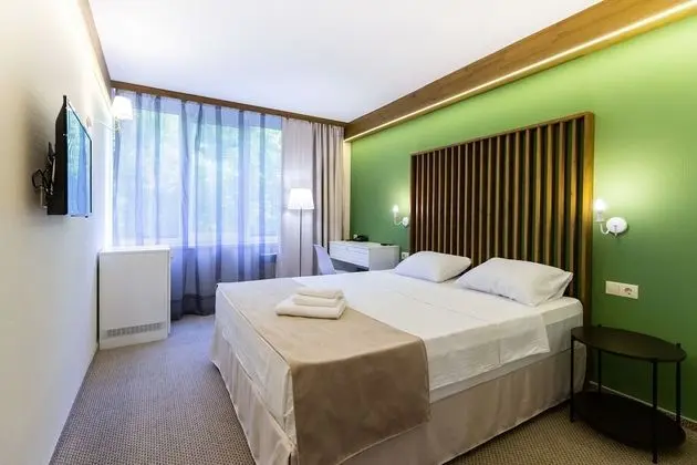 Standard Tek Büyük veya İki Ayrı Yataklı Oda