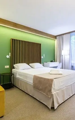 Standard Tek Büyük veya İki Ayrı Yataklı Oda