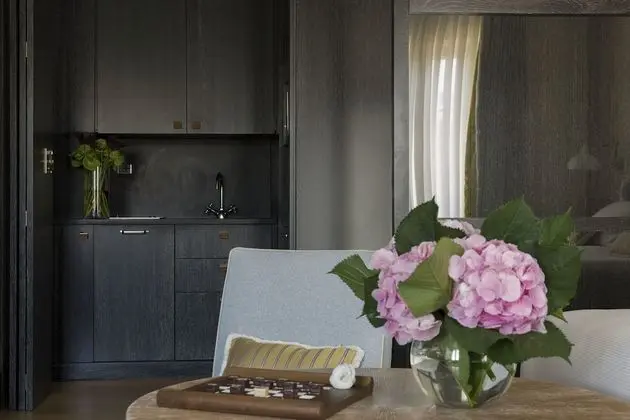 Panoramic Çatı Katı Süiti (Penthouse), Şehir Manzaralı