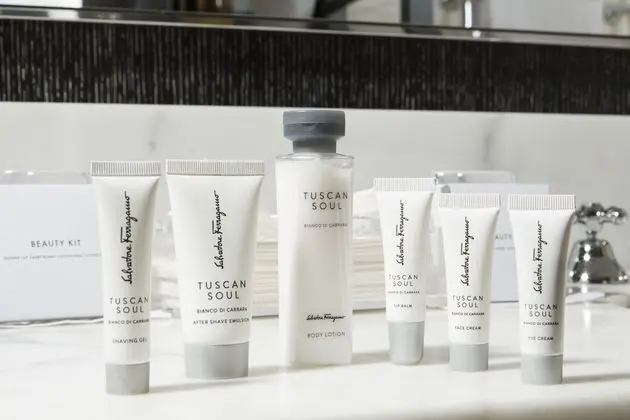 Panoramic Çatı Katı Süiti (Penthouse), Şehir Manzaralı