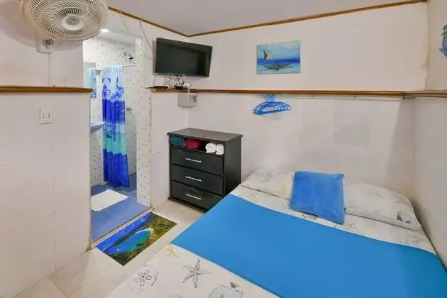 Basic Tek Büyük Yataklı Oda, Banyolu/Duşlu