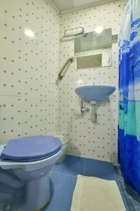 Basic Tek Büyük Yataklı Oda, Banyolu/Duşlu