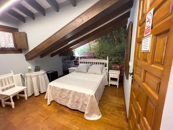 Economy Tek Büyük Yataklı Oda (Penthouse)